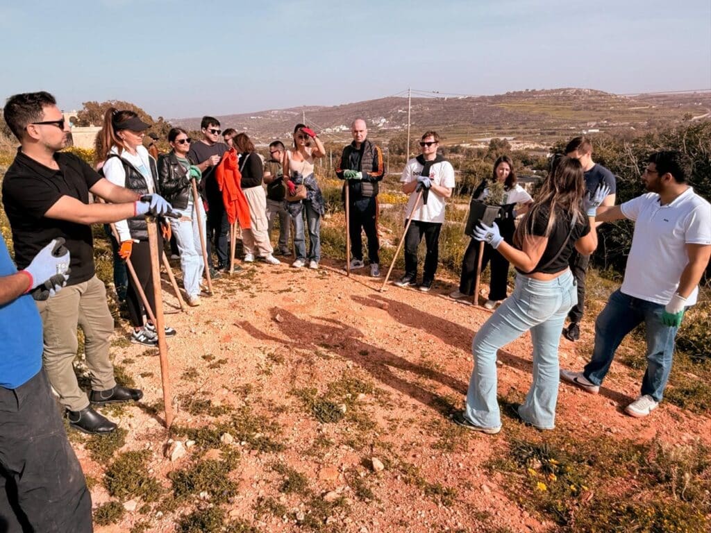 Online gaming offers thrilling